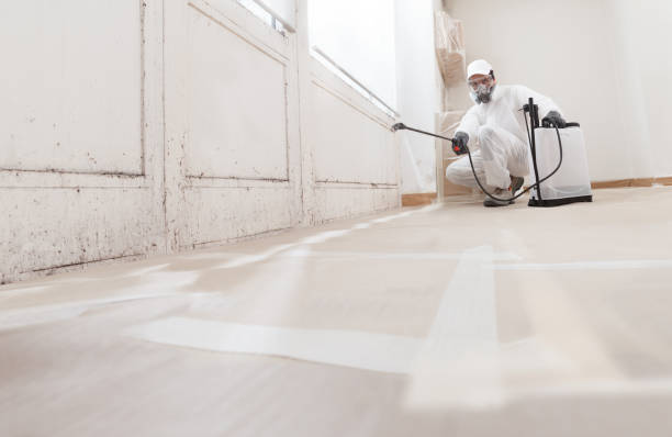 24/7 Emergency Commercial Mold Remediation experts in Hilltown, PA