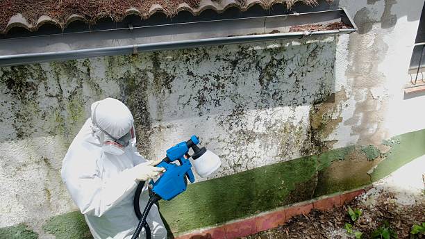 Top rated local Commercial Mold Remediation specialists in Hilltown, PA